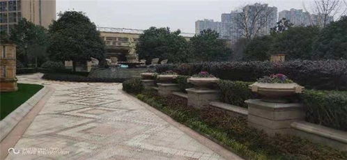 江干區(qū)草坪修剪來(lái)電咨詢(xún) 本信息長(zhǎng)期有效