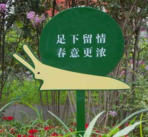 花草牌供應(yīng)商行業(yè)專(zhuān)家在線(xiàn)為您服務(wù) 多圖