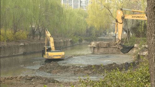 縣園林綠化中心啟動(dòng)水系提升工程,為宜居城市 美顏